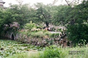 수국 정원
