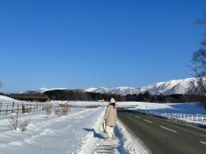일본 겨울의 숨은 곳, 도호쿠