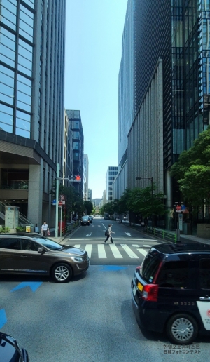 도쿄의 여름거리