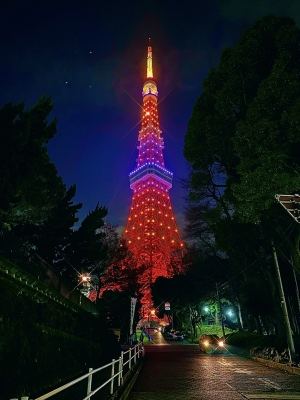 한 밤의 도쿄타워 산책
