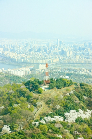 서울의 봄