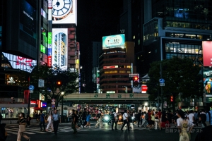 도쿄의 밤