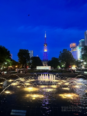 札幌テレビタワーの夜景