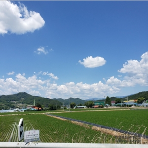 韓国の田園風景