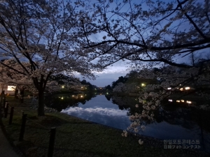 오미야공원의 밤