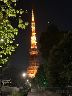 저녁겨울 도쿄타워 풍경