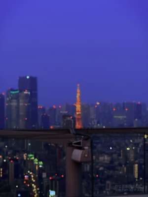 Romance in Tokyo
