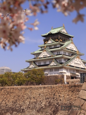 오사카성과 벚꽃