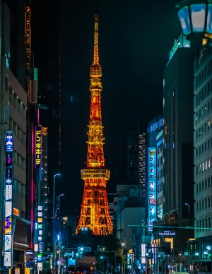 빛나는 도쿄의 밤