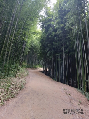 竹緑園