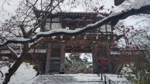 AKITA 센슈코엔의 Kubota Castle Front Gate(久保田城 表門), 가을과 겨울