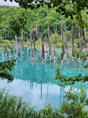 숲속의 푸른 호수