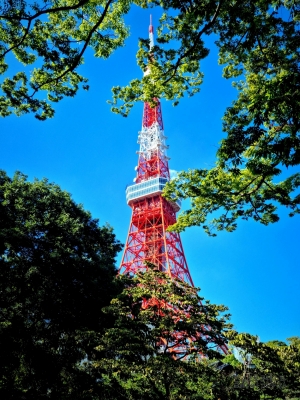 여름 속 도쿄 타워