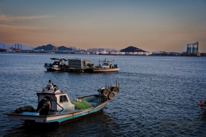 한국의 미의 3요소 : 바다, 산, 그리고 발전된 기술