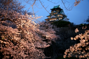 오사카성과 밤 벗꽃