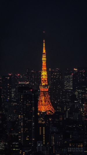 도시 별빛 속의 도쿄타워