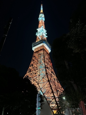도쿄의 밤 